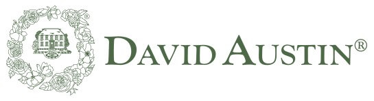 david austin logo