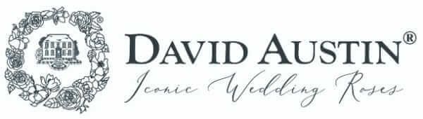 DAR_Logo_Midnight-01-medium-600x170