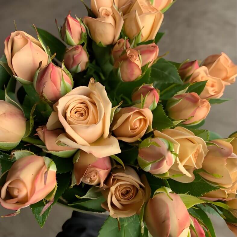 Beige The Earth Spray Roses