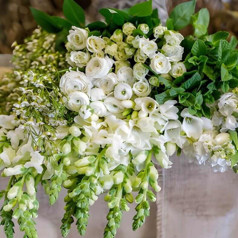 Dream Spring Flower Box in White