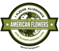 american-grown-193x169