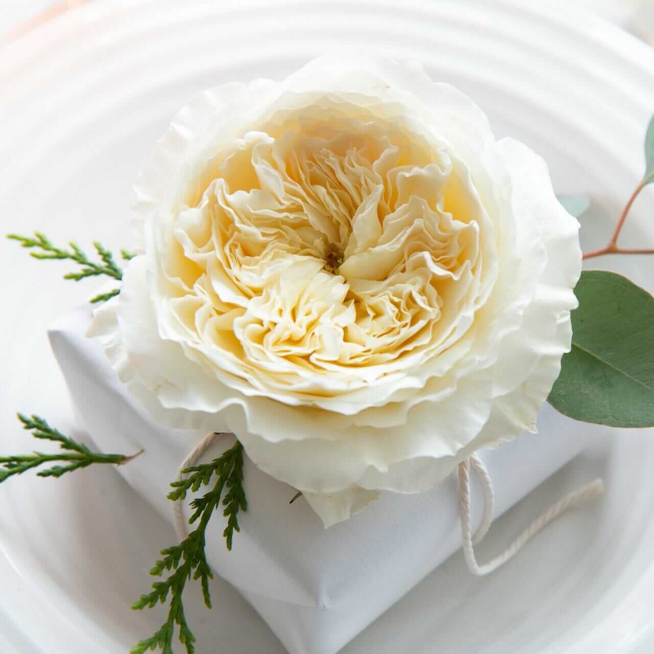 Patience - David Austin Wedding and Event Roses - Image 2