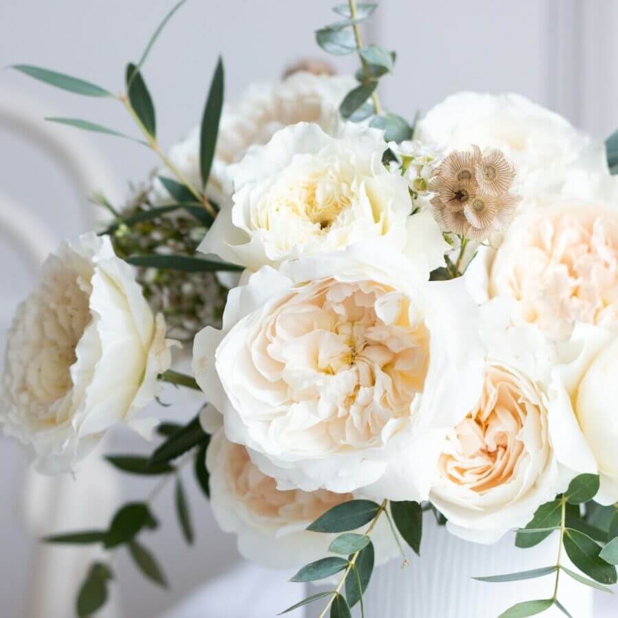 David-Austin-Wholesale-Purity-Roses.jpg