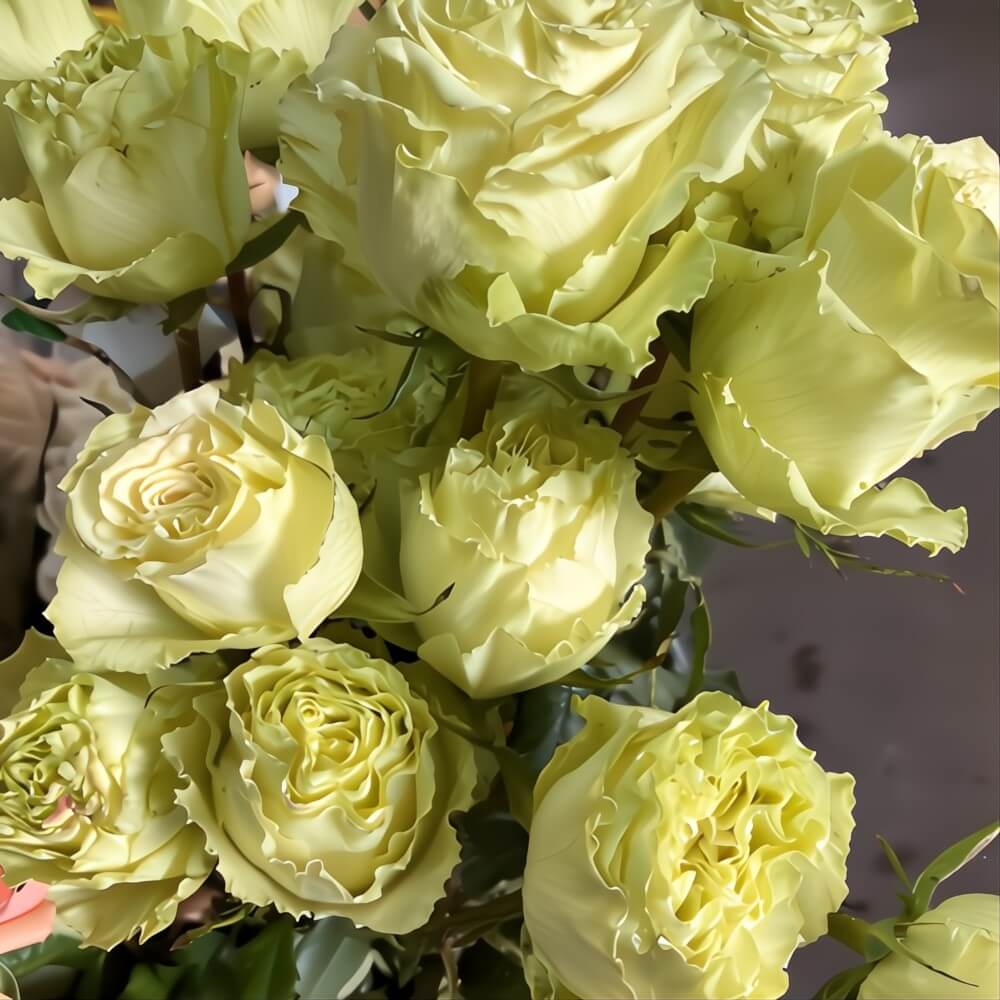 Green Lemonade Roses
