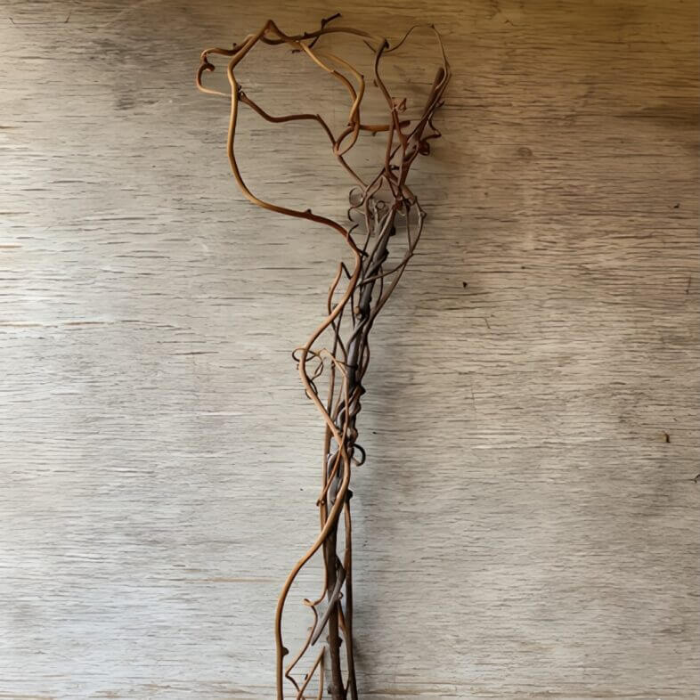 Dried Kiwi Vine