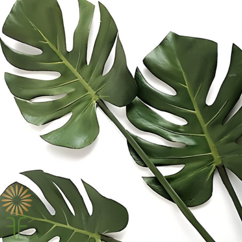 Monstera Leaves-mini