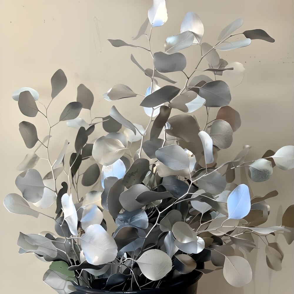silver sprayed wholesale silver dollar eucalyptus for floral arrangements