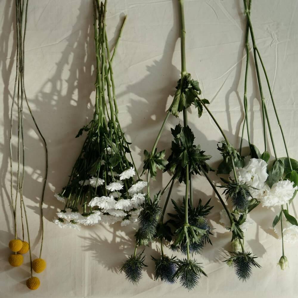 lisianthus for diy arrangement