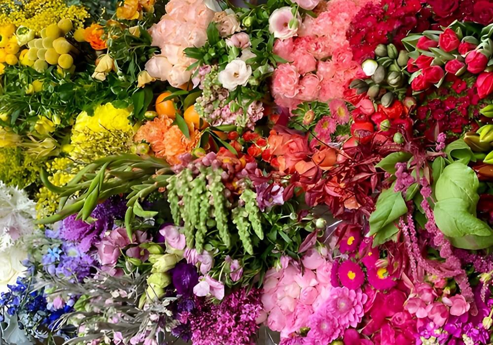 close-up of some of our colorful fresh-cut wholesale flowers