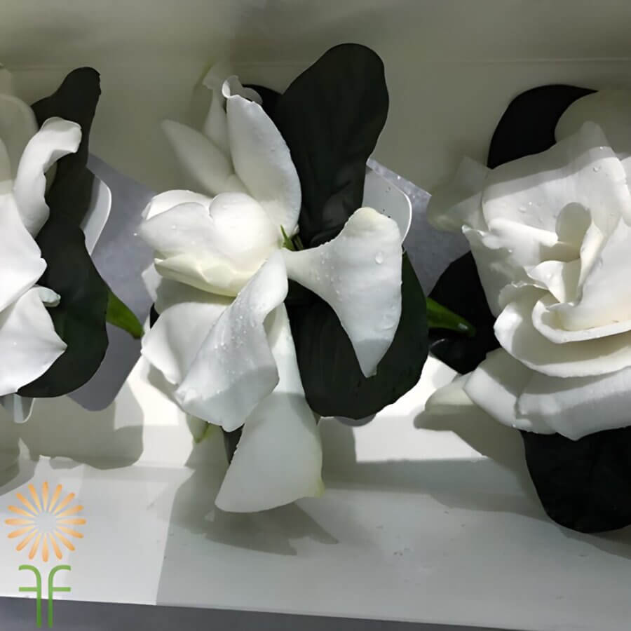 wedding corsage