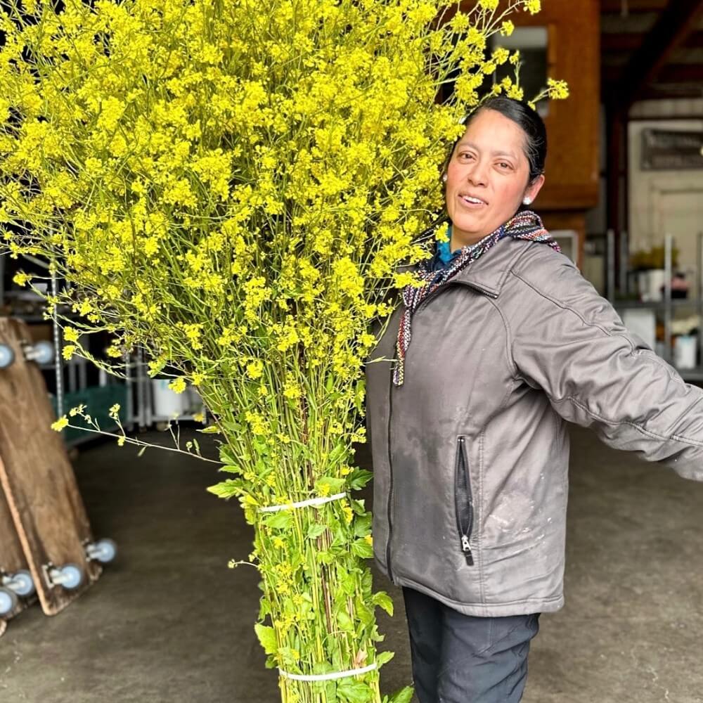 fabulous florals celebrates international women's day with flowers