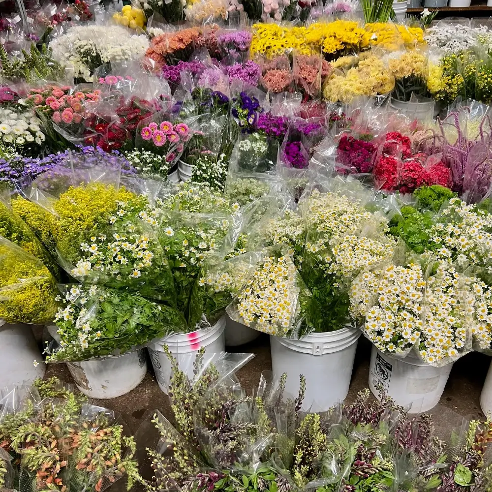Buckets of filler flowers including chamomile, limonium, and waxflower