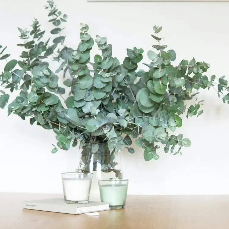 Large eucalyptus arrangement in a clear vase on a wooden table with candles and books
