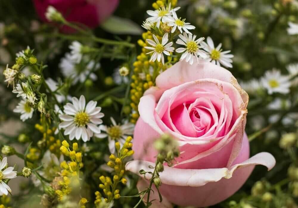 flower arrangement with white feverfew daisies