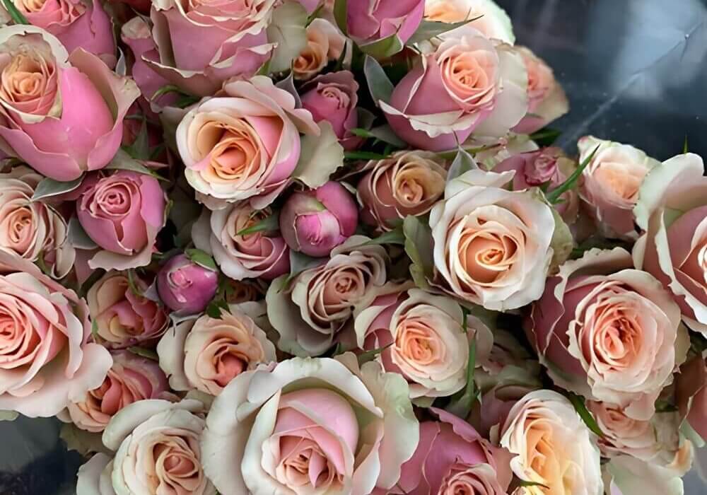 rose spray arrangement close-up