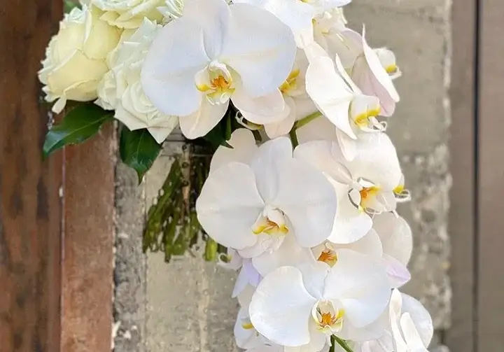 Cascading bouquet of white Phalaenopsis orchids with white hydrangea and roses in a clear vase.