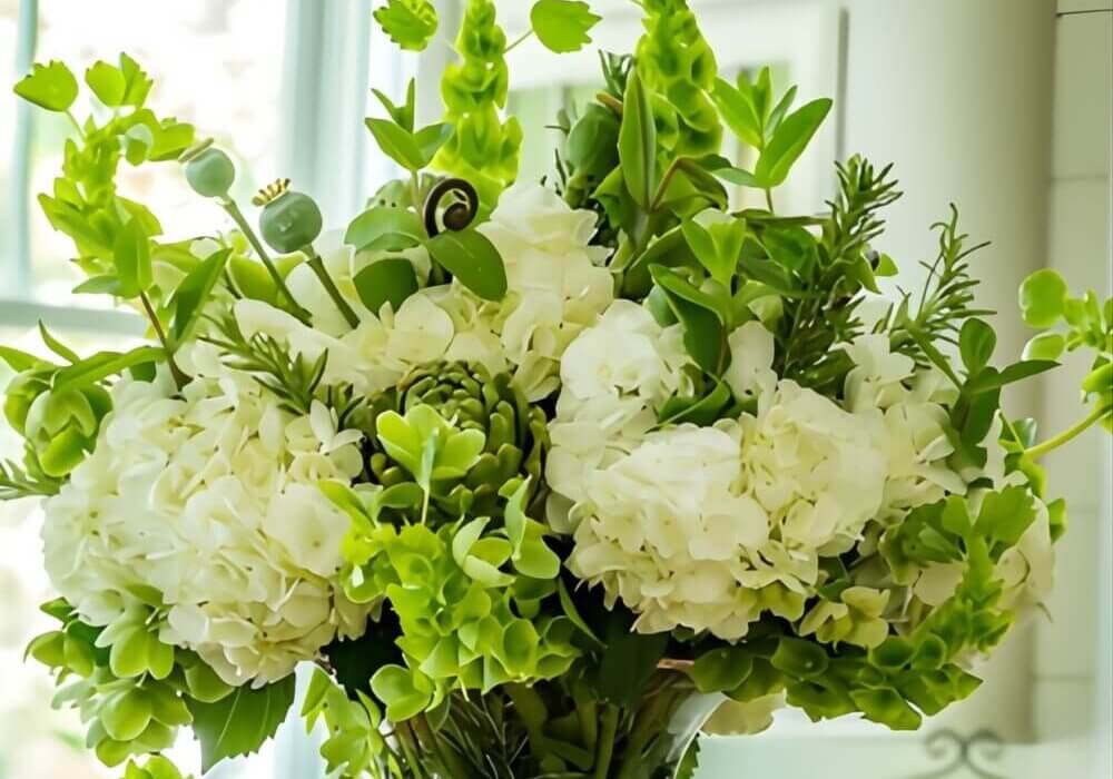 Hydrangea Care - Design Tips for the DIYer