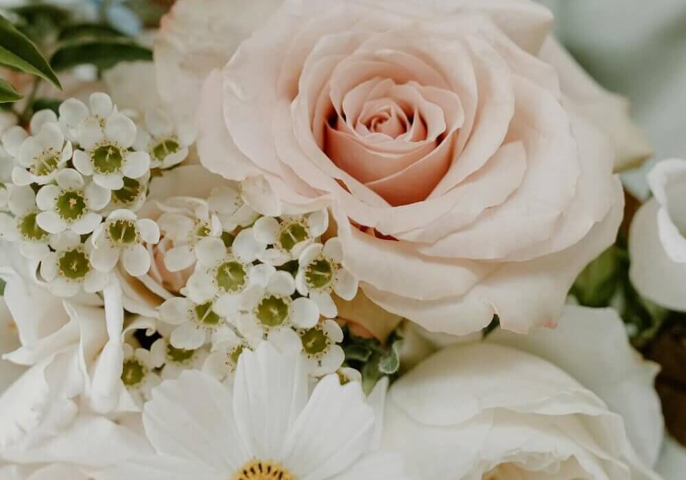 white waxflower used in floral arrangement