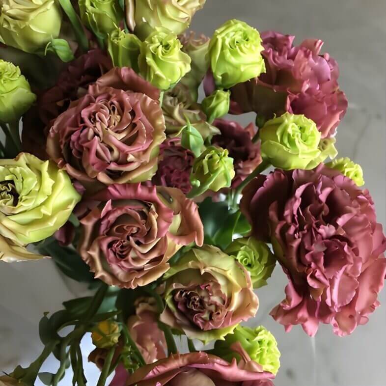 Wholesale-Deep-Brown-Lisianthus