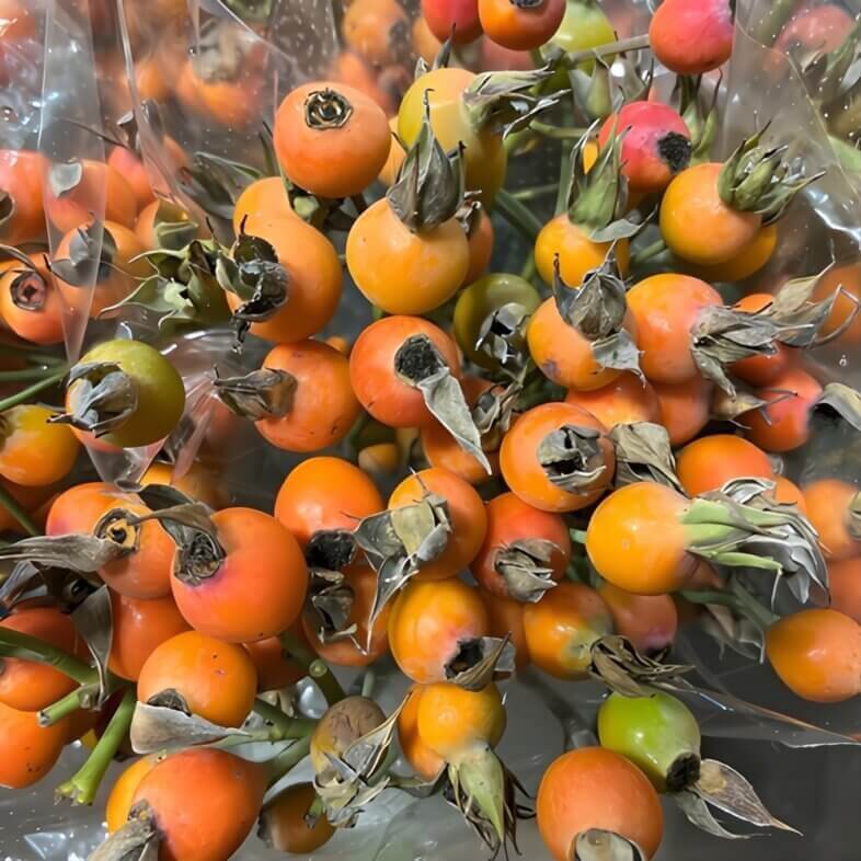 Wholesale-Orange-Branched-Rosehips