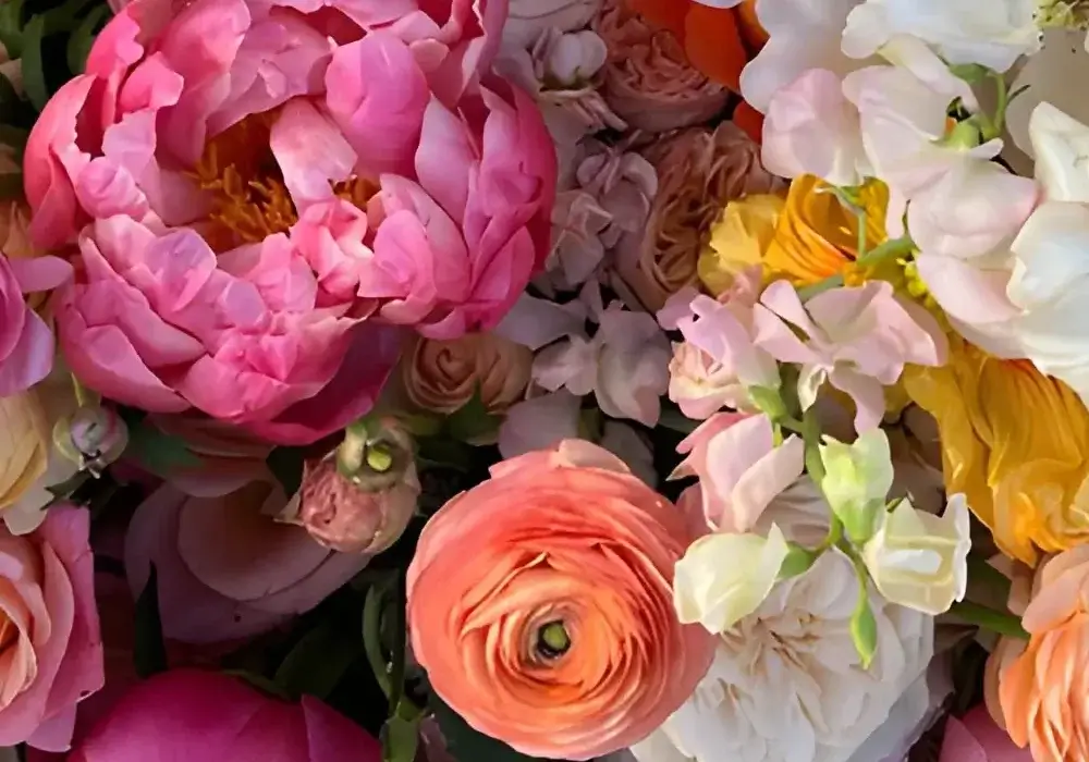 Wholesale spring flowers assortment including ranunculus tulips anemones spray roses and greenery for weddings and events