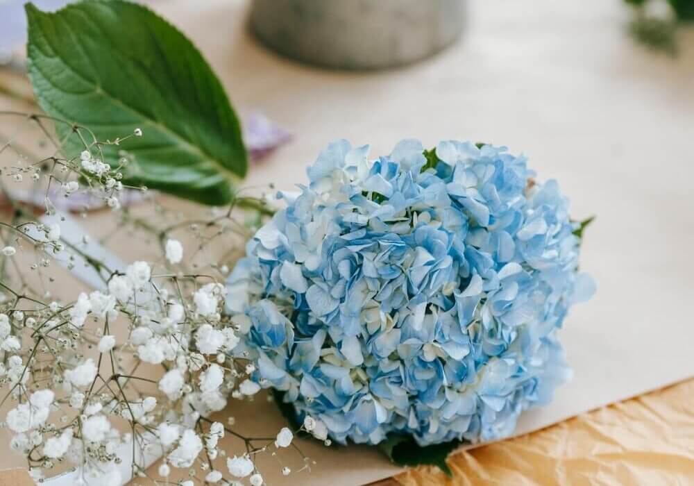 floral design with hydrangeas