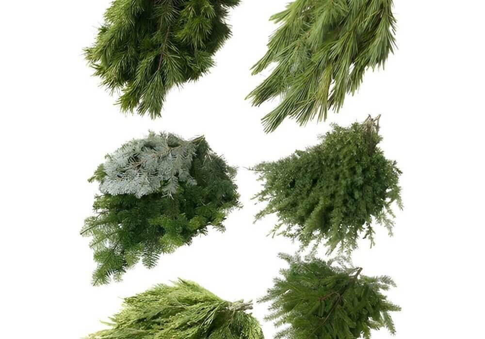 wholesale-Mixed-Box-Holiday-Greens-45lb